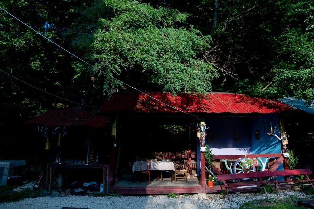 Cabanita Intorsura Buzaului Exterior foto